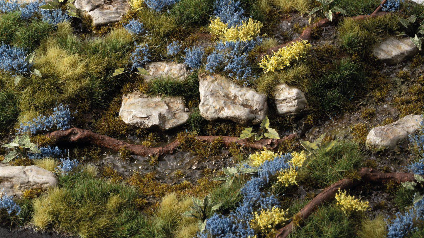 Gamers Grass GGFS-BLU - Bluebeard Flowers