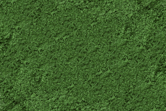 Scenic Express EX805B - Medium Green Grass Fine - 32 Oz.