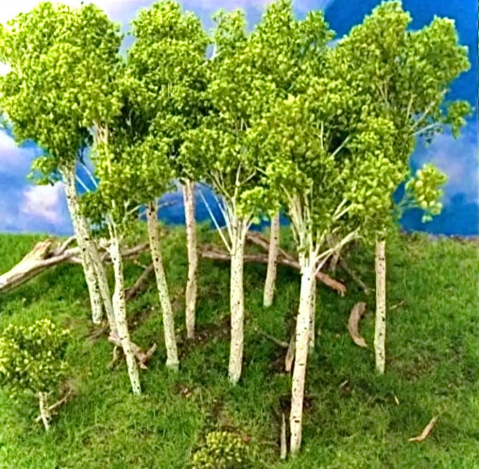 Grand Central Scenery T15 - 5"-7" Medium Aspen Trees (6-Pack)