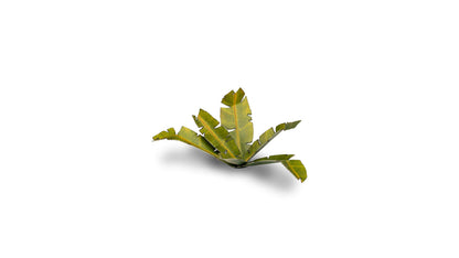 Gamers Grass GGLP-BT - Laser Plants - Banana Tree