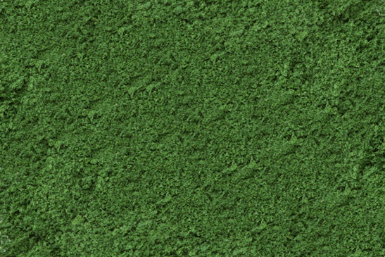 Scenic Express EX805B - Medium Green Grass Fine - 32 Oz.