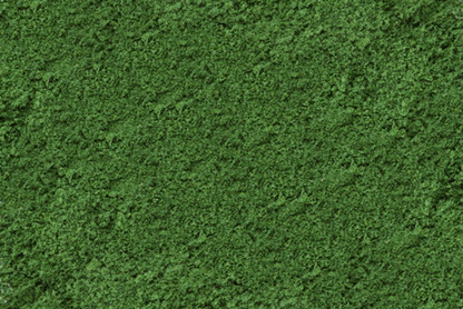 Scenic Express EX805B - Medium Green Grass Fine - 32 Oz.